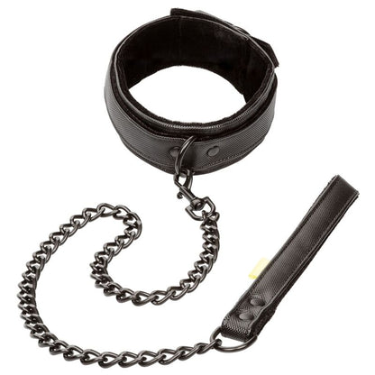 https://dreamlove.gesio.be/productos/imagenes/img_110318_fd59fe2f005f838261896e8e02435ef2_1.jpg